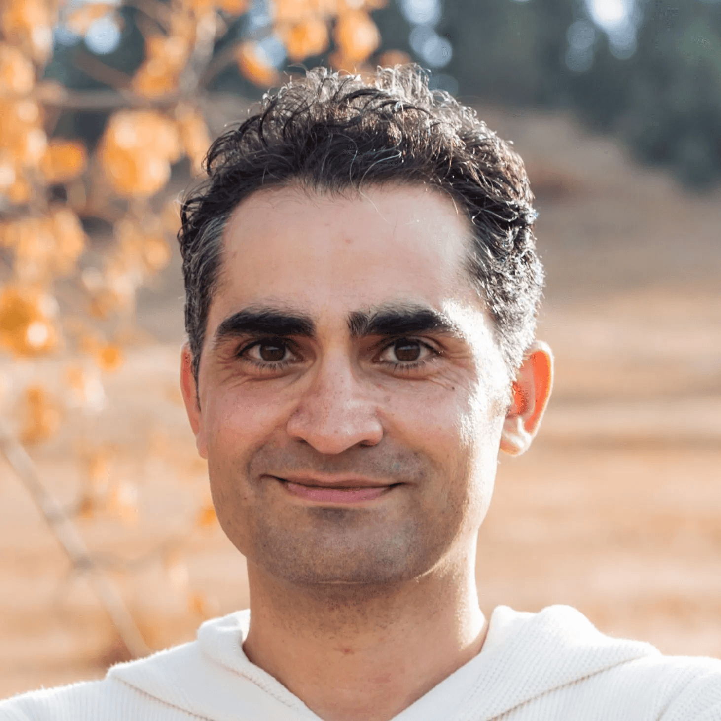 Mehdi Partou, Senior Electrical Engineer